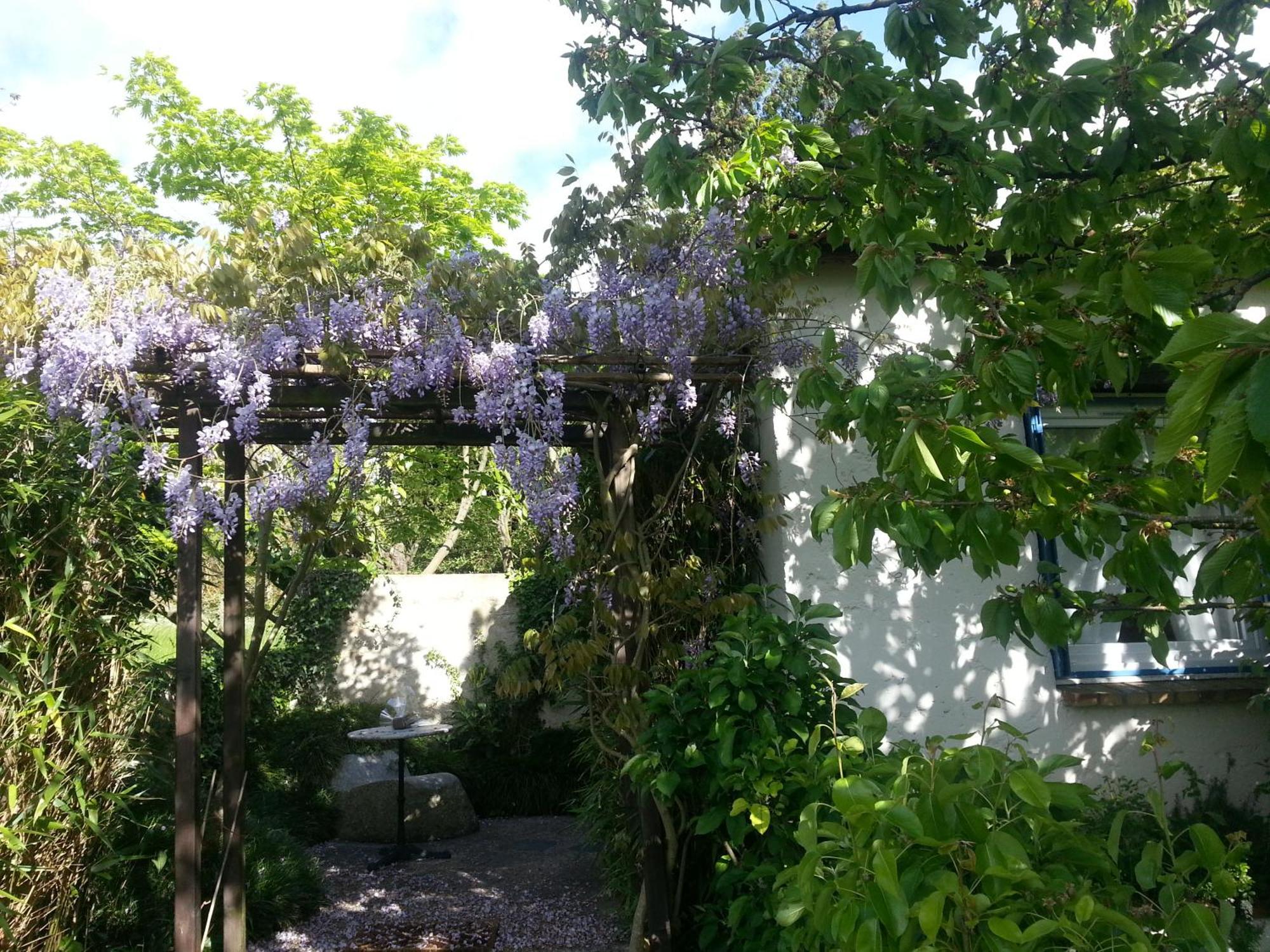 Bed and Breakfast Le Cerisier Mareil-Marly Exterior foto